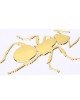 Ant Shape Car Plastic Decorative Sticker, Size: 12.3 x 8cm(Gold) Ant Shape Car Plastic Decorative Sticker, Size: 12.3 x 8cm(Gold)