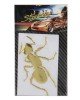 Ant Shape Car Plastic Decorative Sticker, Size: 12.3 x 8cm(Gold) Ant Shape Car Plastic Decorative Sticker, Size: 12.3 x 8cm(Gold)