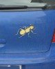 Ant Shape Car Plastic Decorative Sticker, Size: 12.3 x 8cm(Gold) Ant Shape Car Plastic Decorative Sticker, Size: 12.3 x 8cm(Gold)