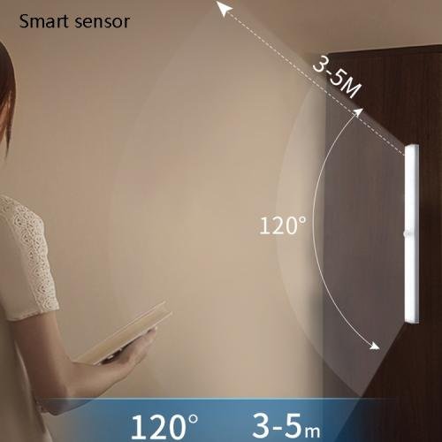 LED Human Body Induction Lamp Long Strip Charging Cabinet Lamp Strip, Size: 10cm(Silver and Warm Light) LED Human Body Induction Lamp Long Strip Charging Cabinet Lamp Strip, Size: 10cm(Silver and Warm Light)